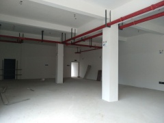 人民路麥德龍附近標(biāo)準(zhǔn)全新廠房，400平起單層面積800平，有