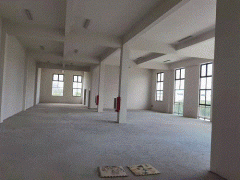 雙層獨立廠房，50年獨立產權，配套齊全，地理位置好，大小戶型