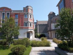 市中心全新優(yōu)質廠房出租，面積1000-24000平