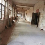 獨門獨院，可分割，有辦公樓，如皋搬經(jīng)鎮(zhèn)常青中學(xué)河南側(cè)