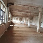 獨門獨院，可分割，有辦公樓，如皋搬經(jīng)鎮(zhèn)常青中學(xué)河南側(cè)