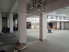 便宜地下倉(cāng)庫(kù)出租，南通植物園南側(cè)，交通方便，有獨(dú)立大門(mén)CC