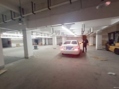 便宜地下倉(cāng)庫(kù)出租，南通植物園南側(cè)，交通方便，有獨(dú)立大門(mén)CC