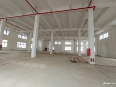 全新獨(dú)棟廠房，每棟3500平，共4棟，層高8米，5噸貨梯